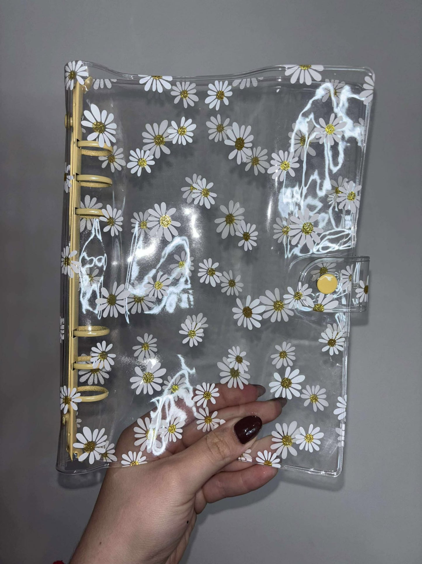Classeur budget  - Transparent Motif